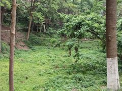 -黔灵山公园