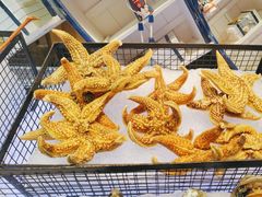 -长沙三景韦尔斯利酒店·Oval全日制餐厅自助餐