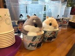 -九秋茶铺(三里屯店)