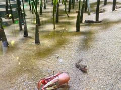 -欢乐海岸海洋奇梦馆