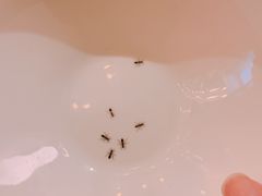 -唐宫小聚(新港中心店)