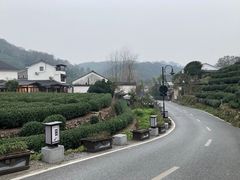 -龙井村