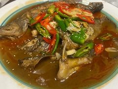 -呼吸森林·生态农庄农家乐私房菜