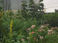 -凤凰湘语·湘粤鲜融(浦东旗舰店)