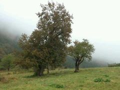 -硗碛藏寨·神木垒景区