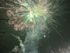 -大塘金香草谷