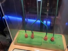 -香港科学馆