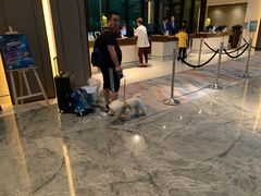 -上海崇明金茂凯悦酒店