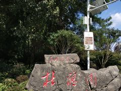 -铁山坪森林公园