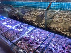 -海韵之星邮轮水会(明发商业广场店)