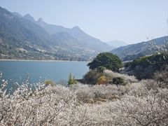 -广州市流溪河国家森林公园
