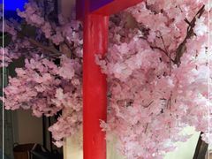 -白兔子密室(长寿路店)