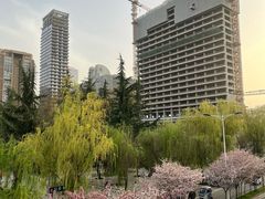 -木塔寺遗址生态公园