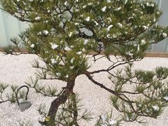 景点-罗红摄影艺术馆