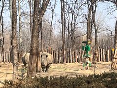 -北京野生动物园