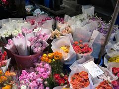 -循礼门鲜花花市(武汉循礼门店)