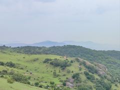 -大姆山草场