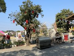 -长洲岛都市农业公园