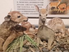 -大庆市博物馆