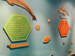 -多彩贵州城极地海洋世界