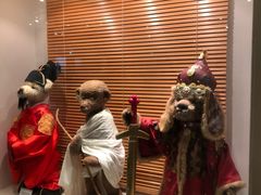 -济州岛泰迪熊博物馆