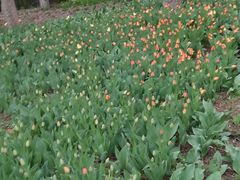 -长春公园(普阳街道)