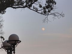 -珠江夜游省总码头