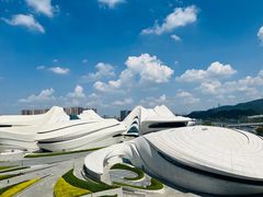 -桃花源中餐厅(金茂豪华精选酒店)