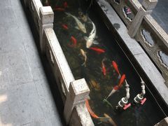 -唔呶喔哩酒家(生产街店)
