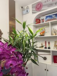 -金美秀瘦身养生