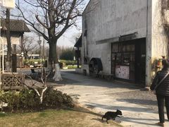 -田园东方蜜桃村的田野营地