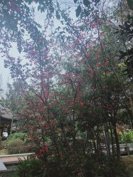 -莲生母婴月子中心(清水河公园店)