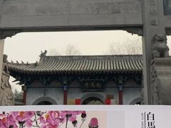 -洛阳白马寺