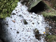 -秦岭终南山世界地质公园翠华山景区