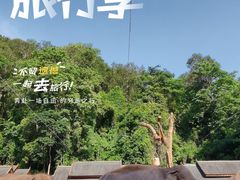 -野象谷景区
