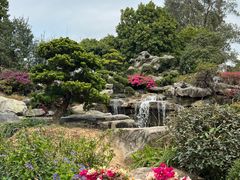 -东莞植物园