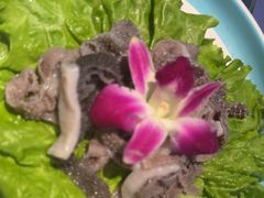 -阿古蒙·传统涮火锅自助(三台子万象汇店)