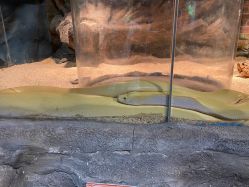 -Zoolung Zoolung动物主题公园(海信广场店)