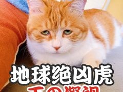 -孙家面馆(淮海第一城店)