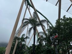 -珠海长隆海洋王国