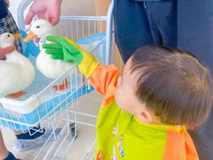 -怪兽屋·羊驼·猫咖·狗咖(俊华广场店)