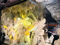 -湖南省地质博物馆