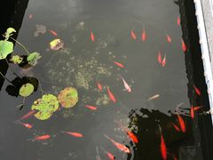 -斯通泰伯酒店-餐厅