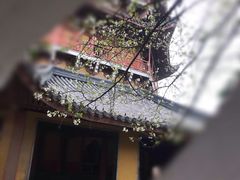 -北寺塔