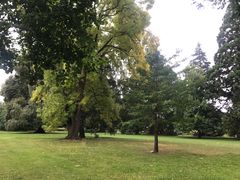 -Pedro's House of Lamb(基督城)