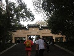 -灵谷景区