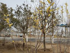 -河南工业大学(莲花街校区)