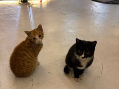 -天空花园餐吧·生日·团建(南山店)