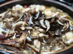 -野菌皇海景野生菌火锅(滨海大道店)