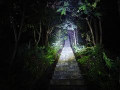 -火炉山森林公园